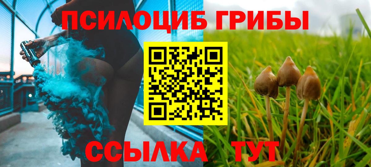 Владимир  купить наркотик  Вход с VPN  Галлюциногенные грибы MAGIC MUSHROOMS 